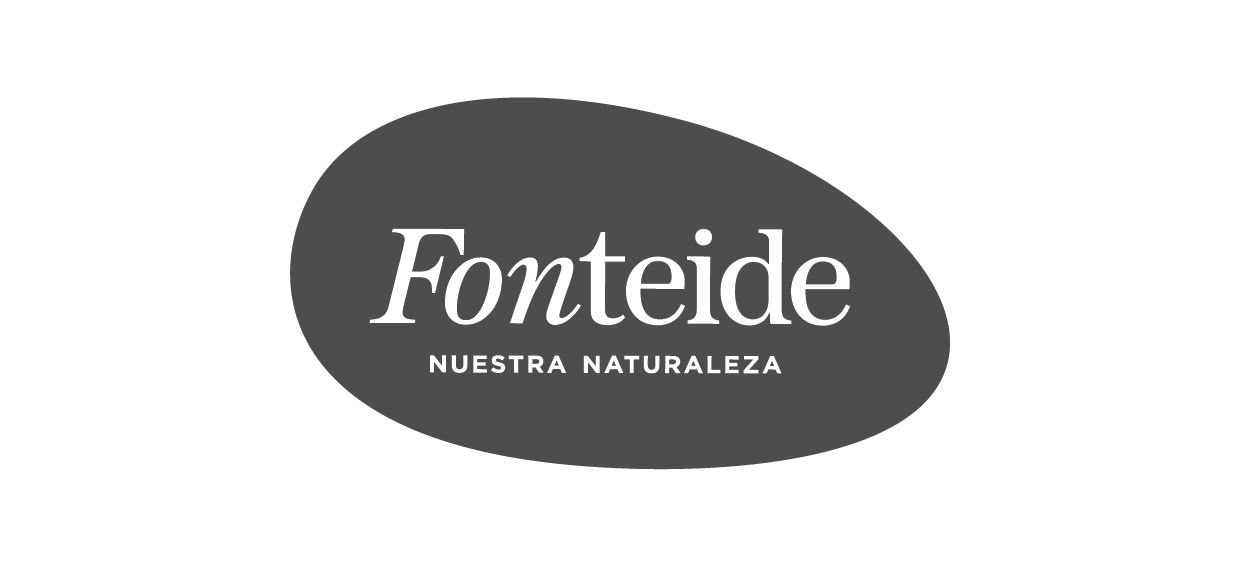 Fonteide